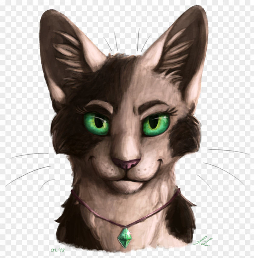 Kitten Whiskers Domestic Short-haired Cat Painting PNG