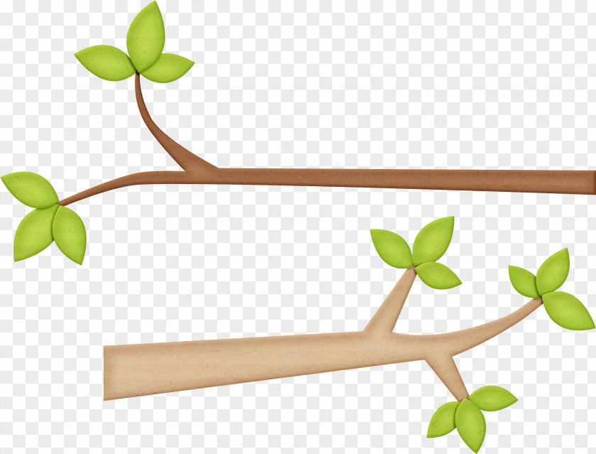 Leaves Clipart Branch Art Clip PNG