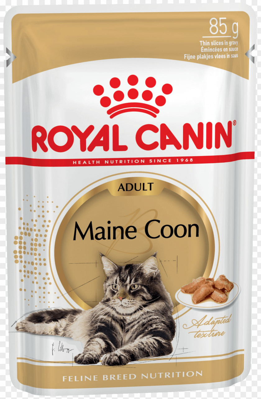 Maine Coon Royal Canin Dry Cat Food Dog PNG