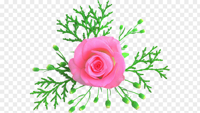 See This Cut Flowers Garden Roses Floral Design Flower Bouquet PNG