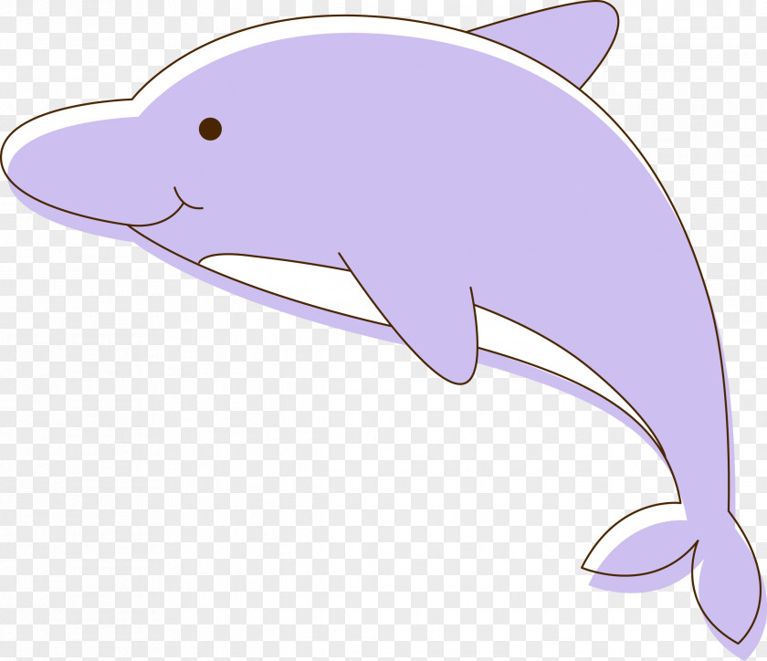 Vector Dolphins Tucuxi Common Bottlenose Dolphin Porpoise PNG