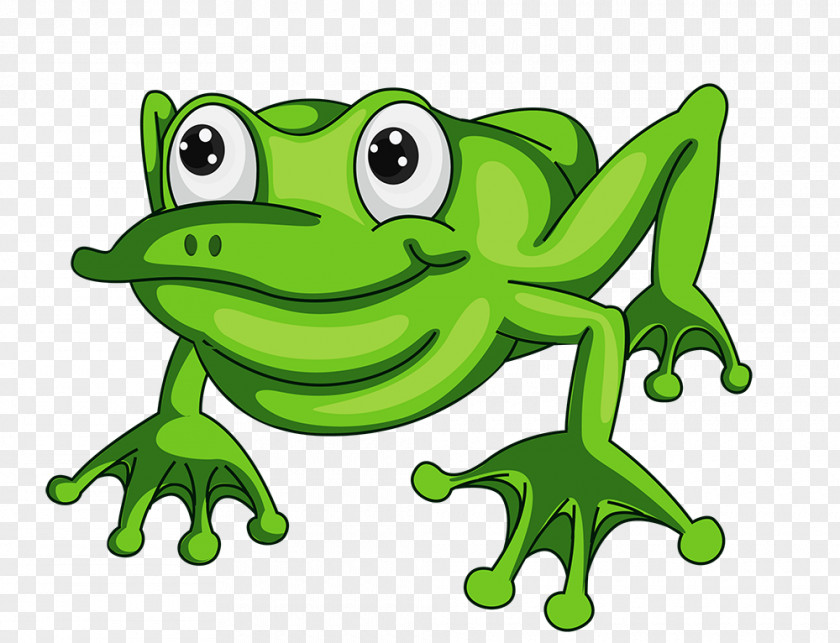 Cartoon Frog Clip Art Vector Graphics Illustration Image PNG