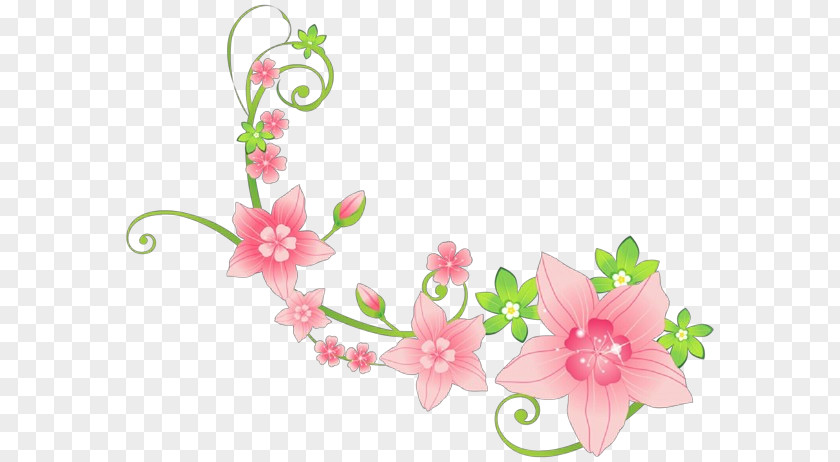 Floral Design Blossom PNG