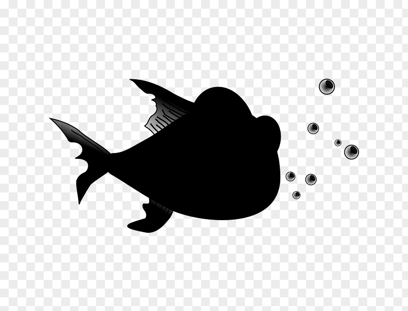 M Fish Clip Art Silhouette Mammal Black & White PNG