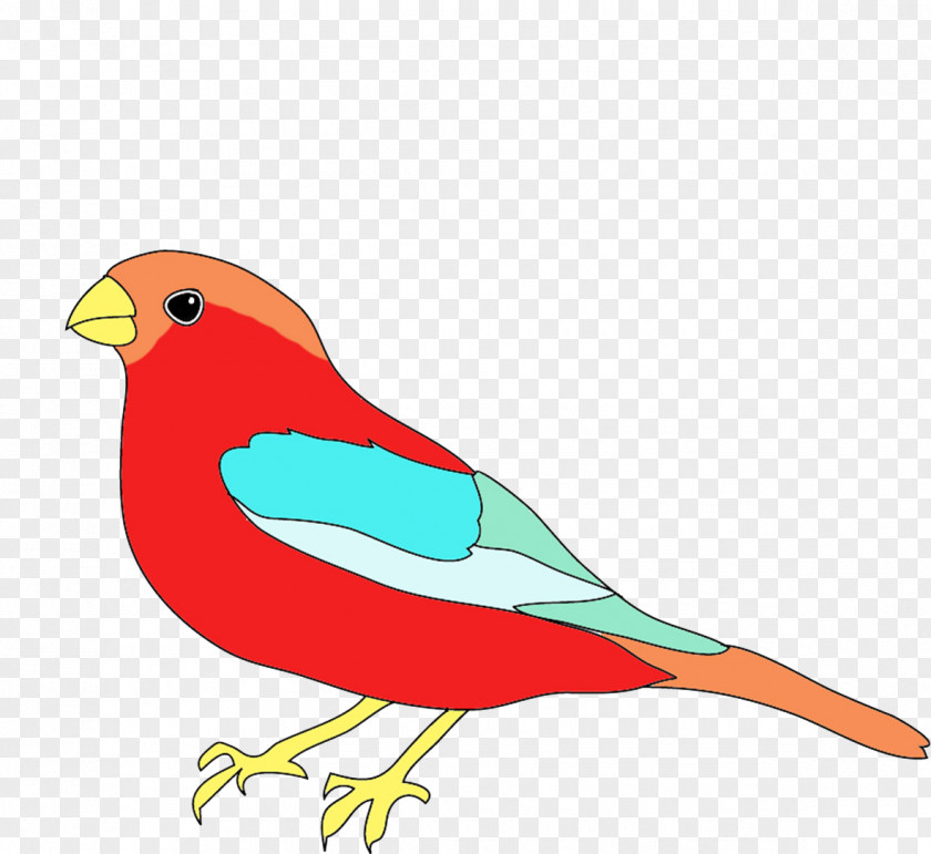 Bird Drawing Birds Color Clip Art PNG