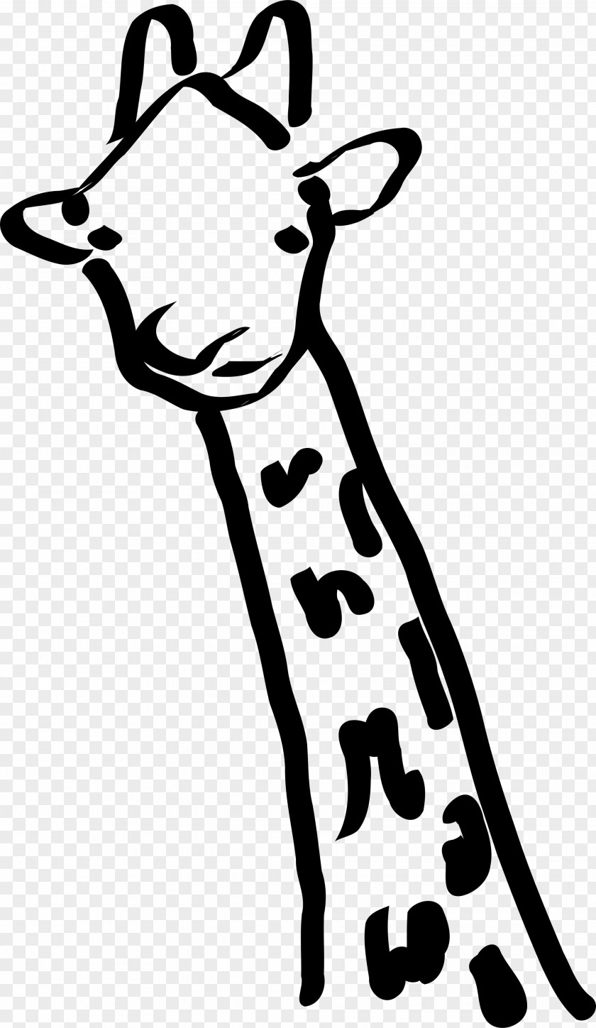 Black And White Hat Baby Giraffes Clip Art PNG