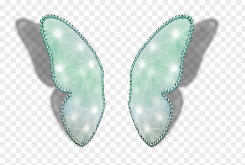 Fairy Wings Available In Different Size PNG