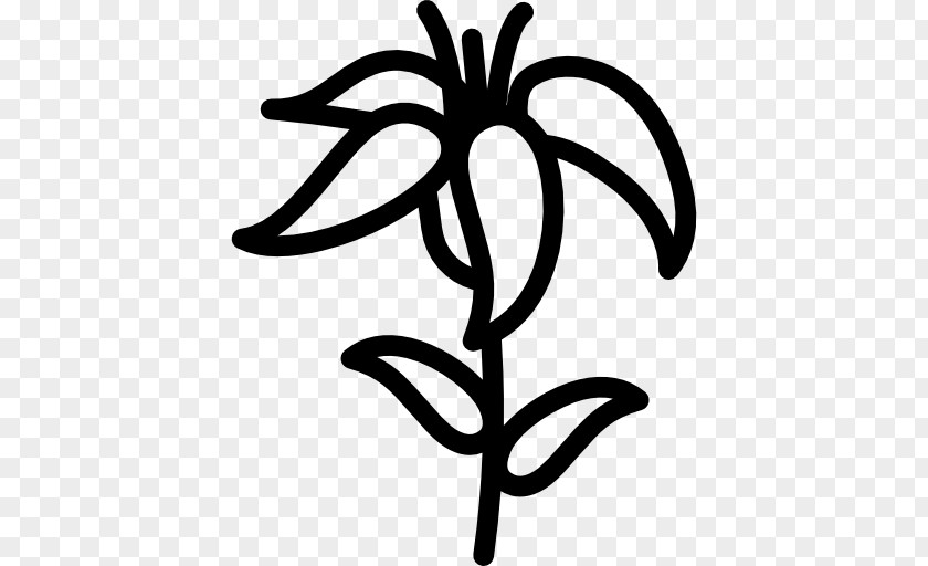 Flower PNG