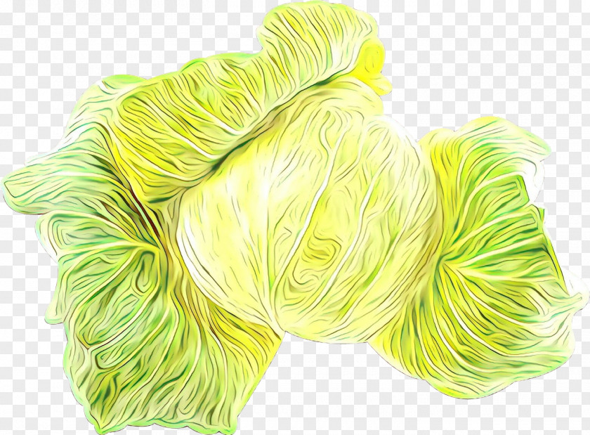 Green Yellow Thread Wool Textile PNG
