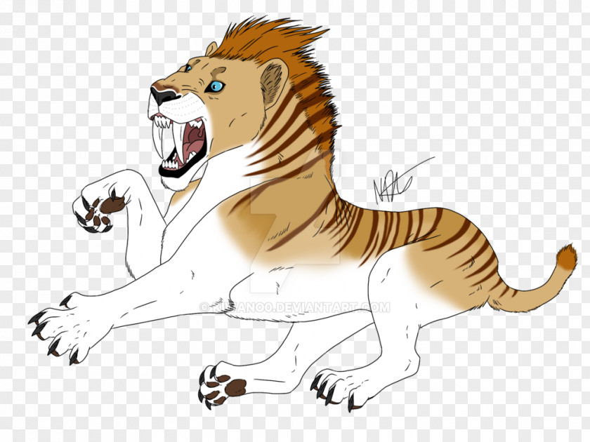 Tiger Saber-toothed Lion Whiskers Cat PNG