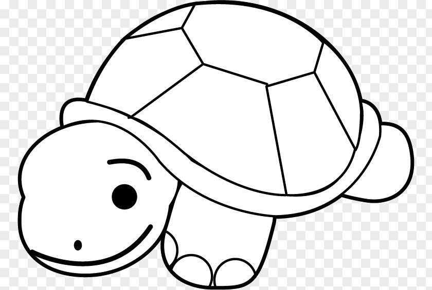 Tortoide Turtle Clip Art PNG
