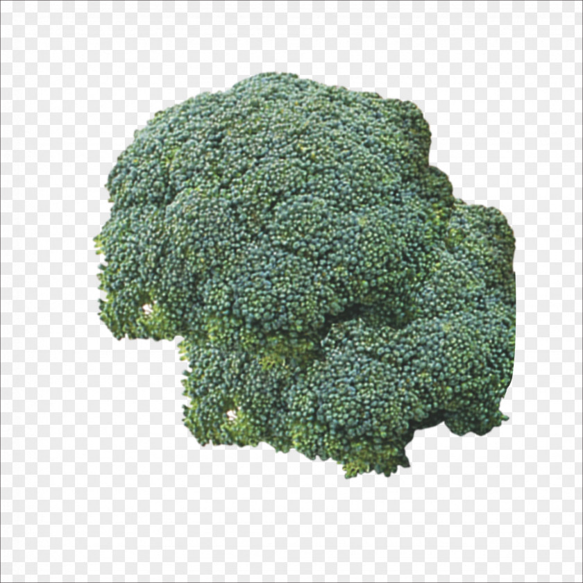 Broccoli Vegetable Food Cauliflower PNG