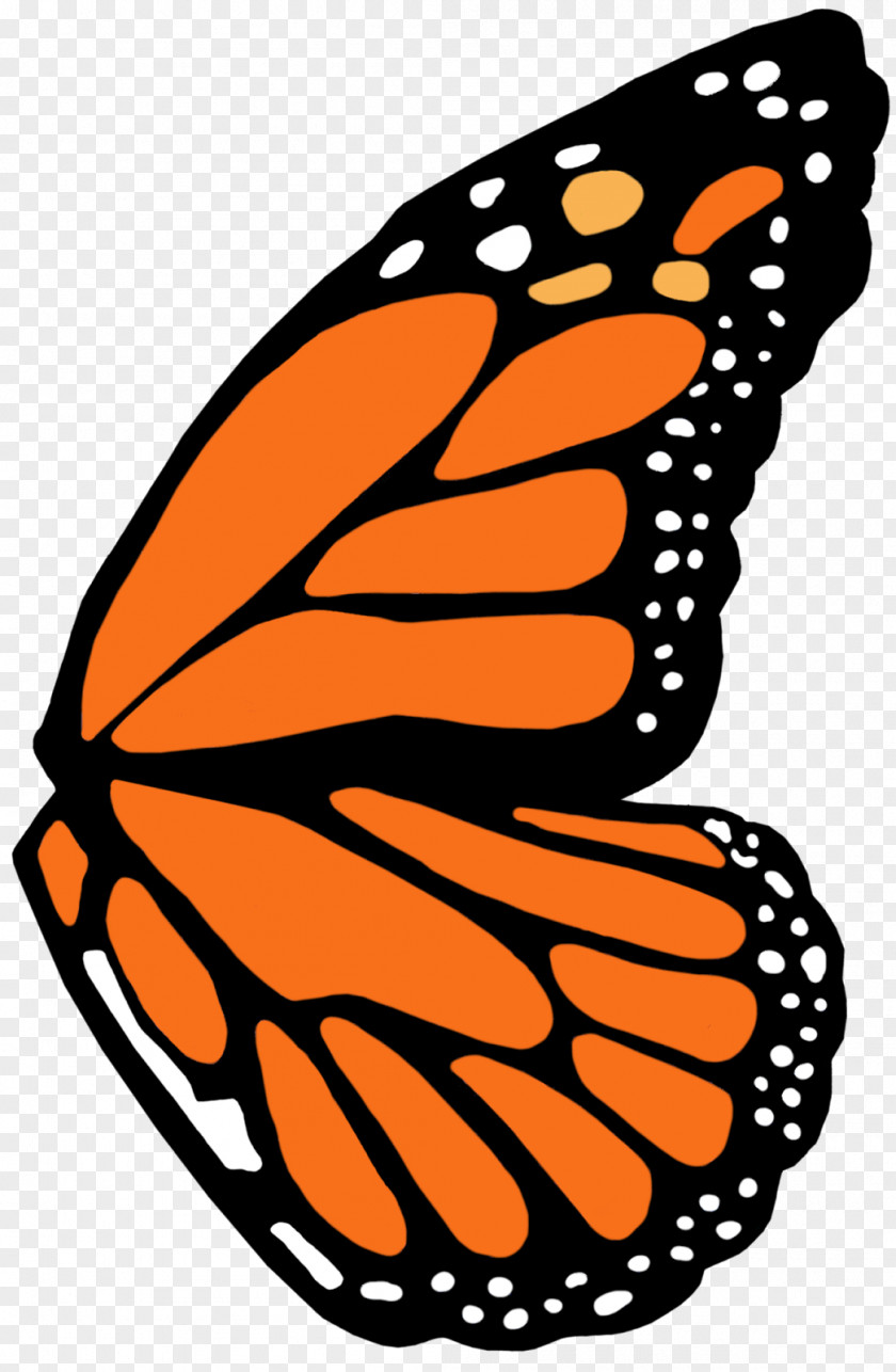 Butterfly Wings Monarch Nymphalidae Clip Art PNG