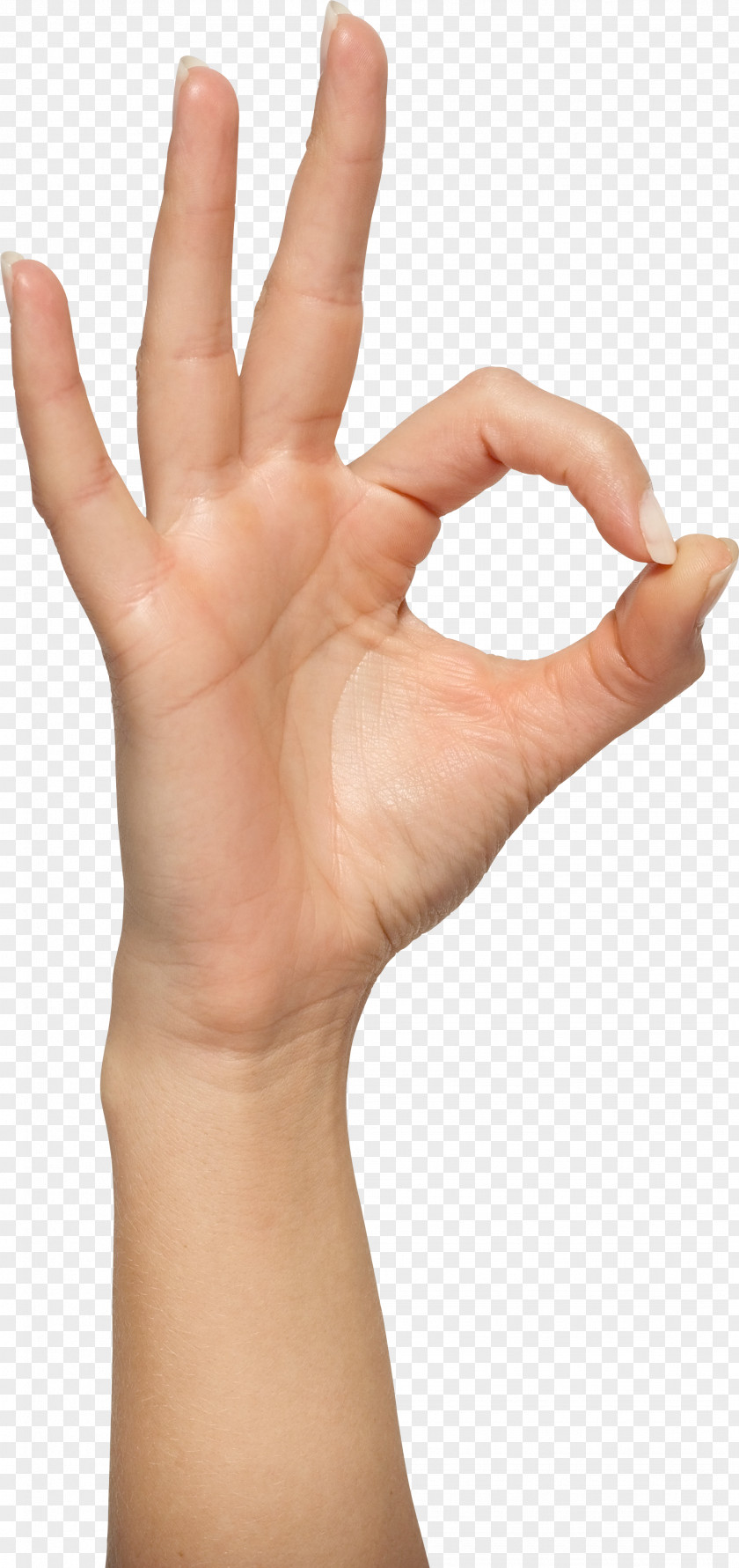 Hands , Hand Image Free OK Gesture PNG