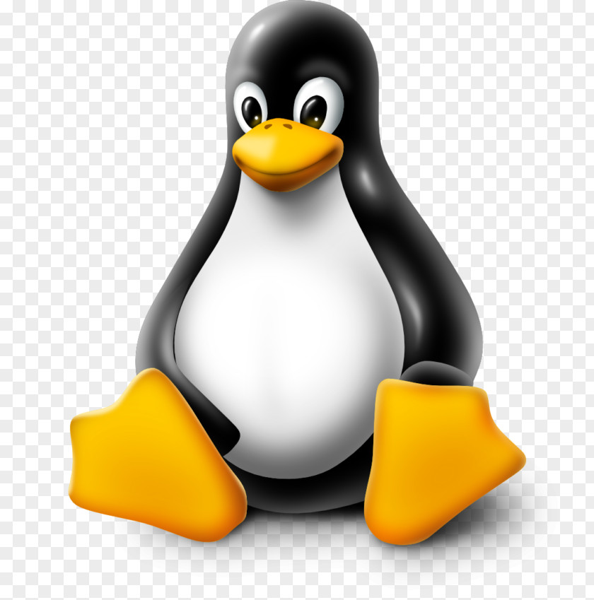 Linux Kernel Tux Operating Systems Red Hat PNG