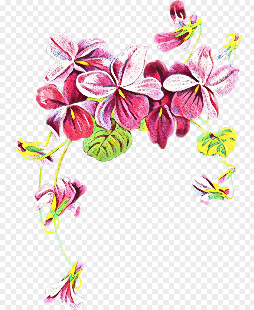 Moth Orchid Wildflower Pink Flower Cartoon PNG