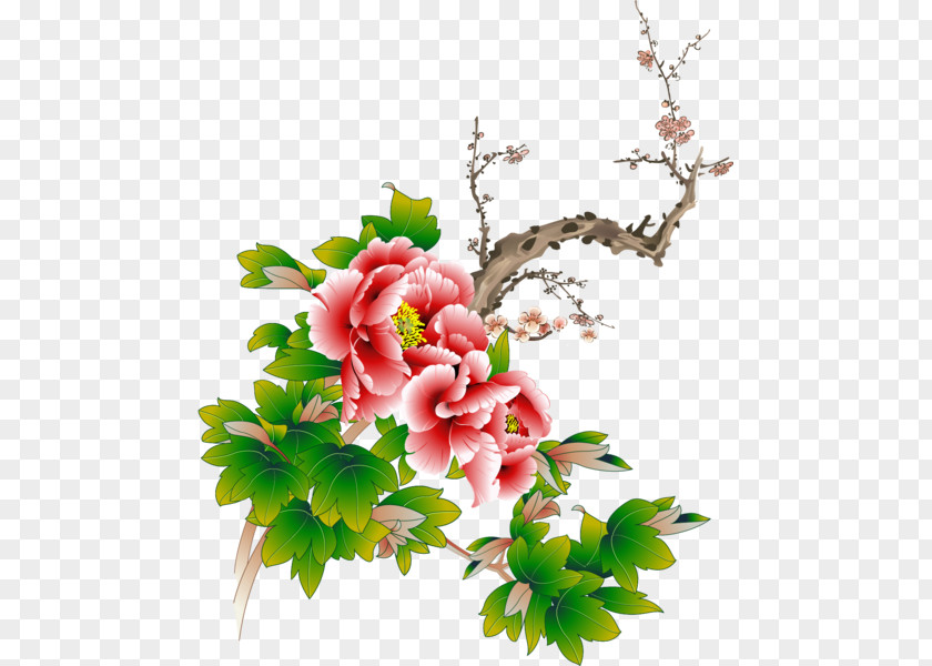 Painting Moutan Peony 工筆牡丹 Vector Graphics Clip Art PNG