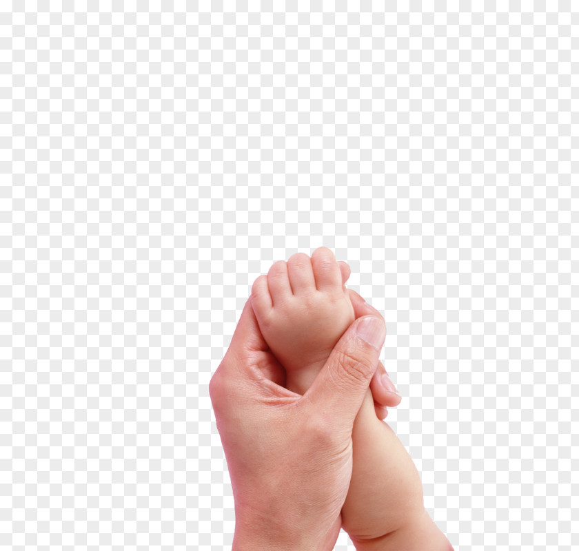 Parents And The Child's Hand Infant Child Parent Toddler PNG