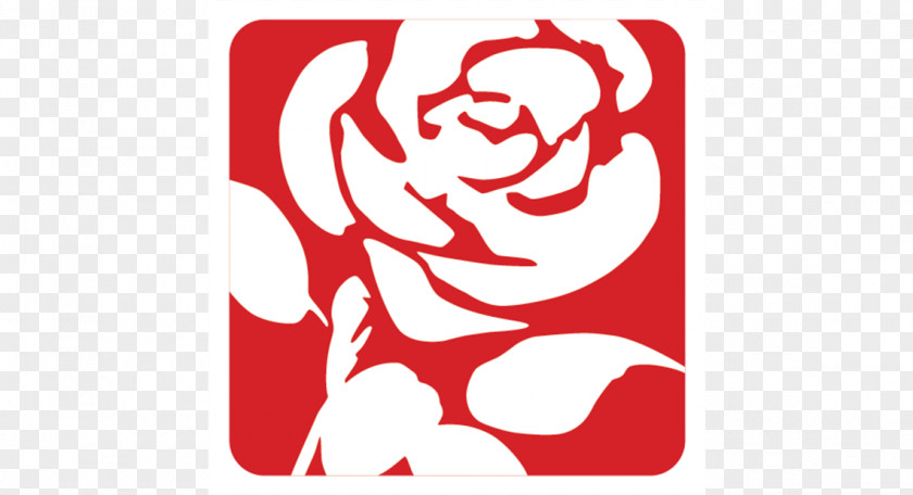 York Central Cambridge City Labour Party Election Scottish PNG