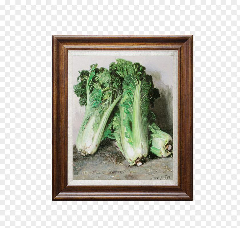 Archeology Oil Painting Material The Art Of Napa Cabbage Painter PNG