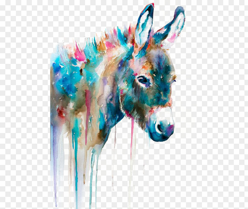 Donkey Watercolor Painting Art Printmaking Oil PNG