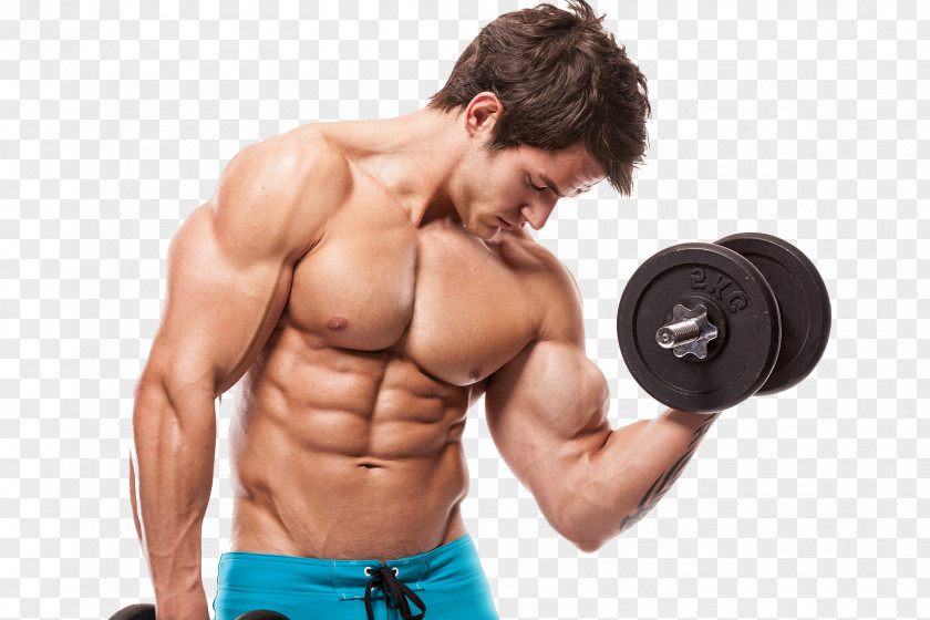Fitness Dietary Supplement Anabolic Steroid Muscle Oxandrolone Human Body PNG