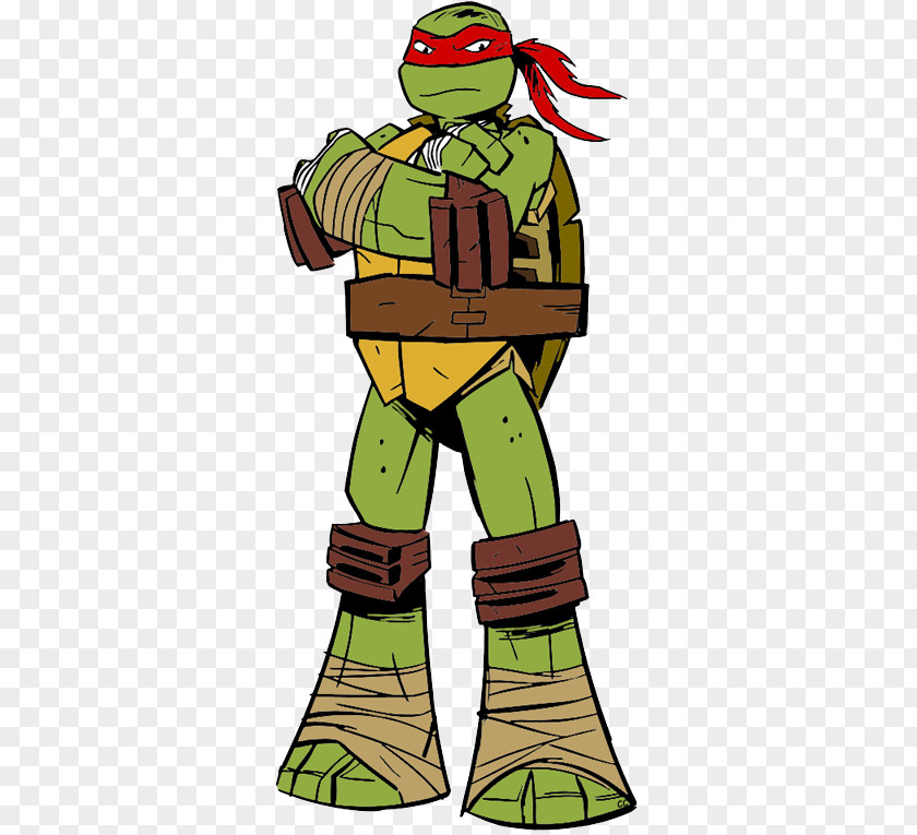 Ninjutsu Raphael Leonardo Michaelangelo Donatello Teenage Mutant Ninja Turtles PNG