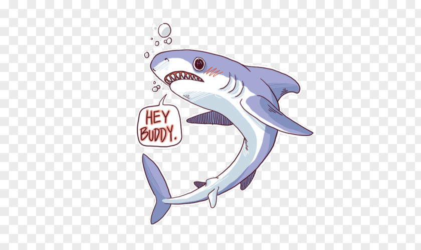Shark Great White Drawing Clip Art PNG