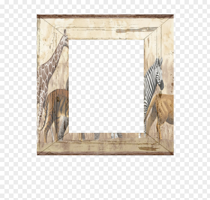 Window Lion Picture Frames /m/083vt Wood PNG