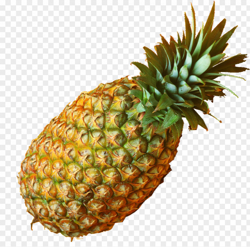 Big Pineapple Juice Bromelain Extract Powder PNG