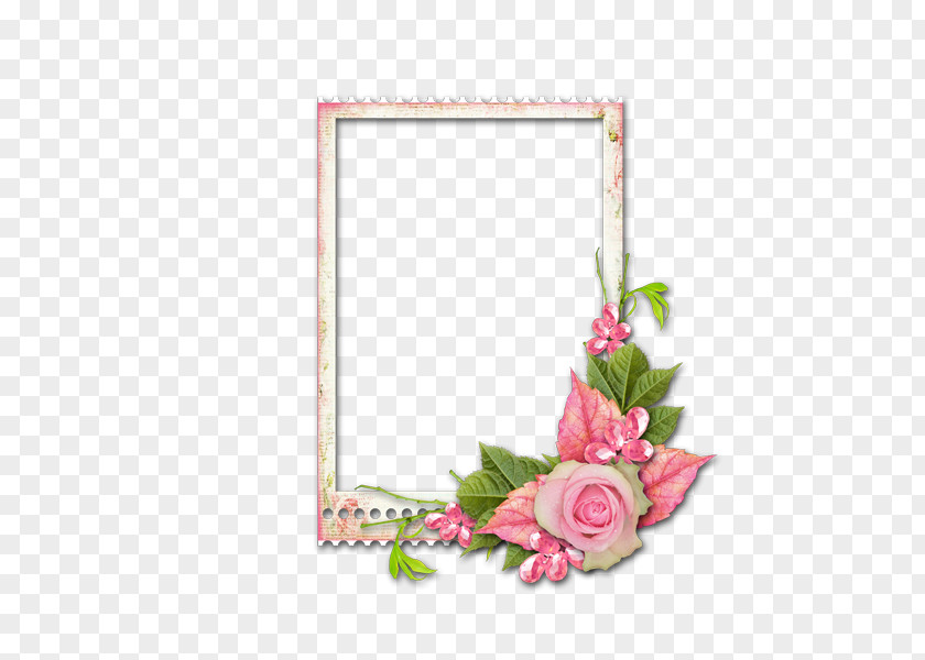 Floral Decorative Borders Picture Frame Flower PNG