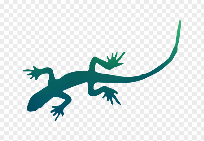 Gecko Lizard Illustration Clip Art Drawing PNG