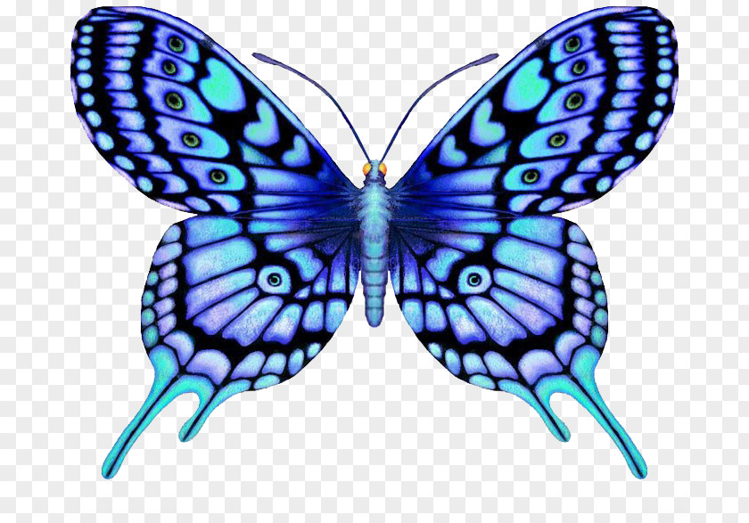 Supernatural Blue Butterfly Tattoo Large Color PNG
