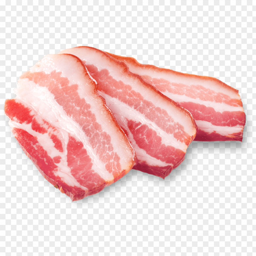 Bacon Ham Domestic Pig Salami Pork Jowl PNG