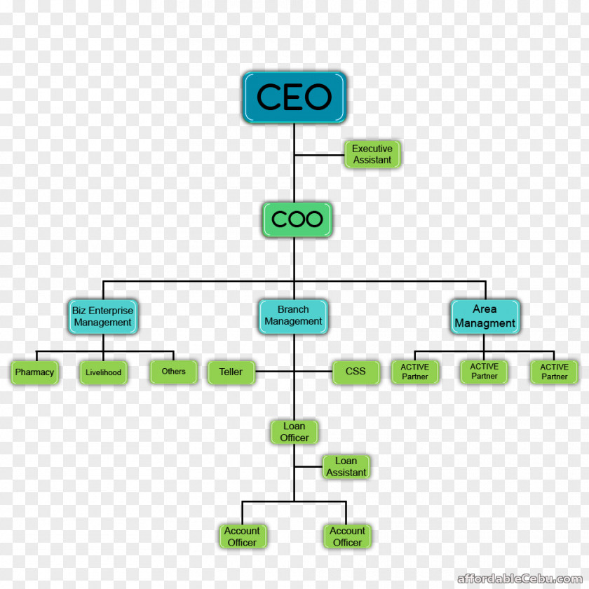 Business Organizational Chart Diagram Structure Cooperative PNG