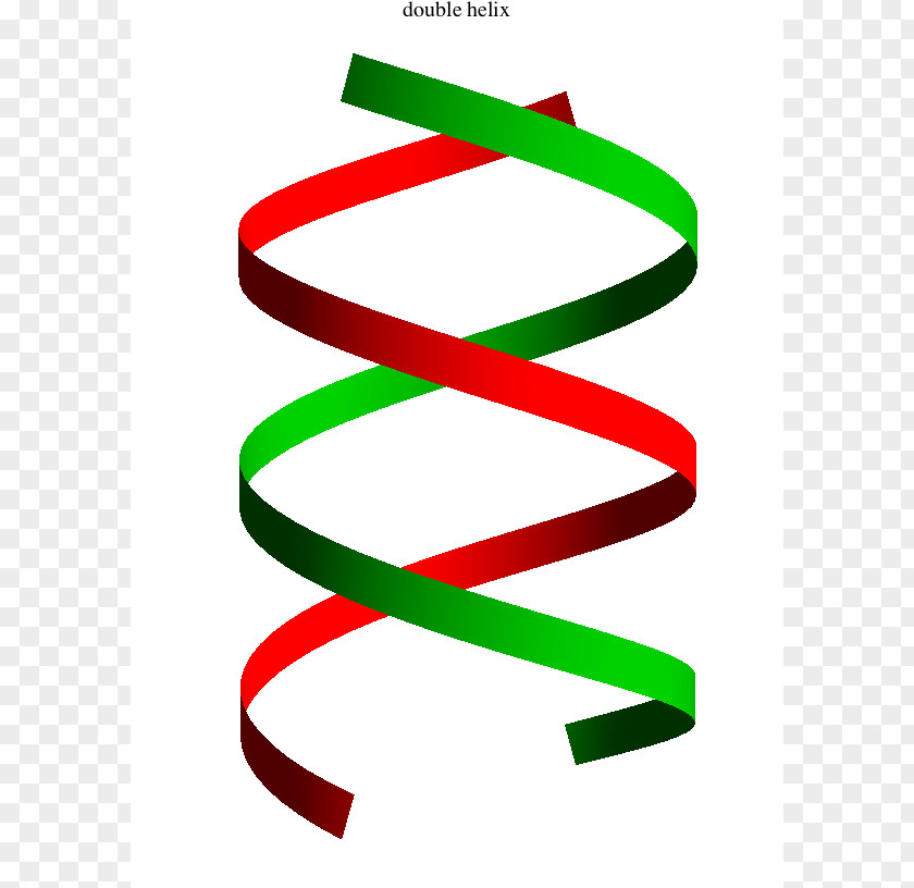 Double Helix Vector The Helix: A Personal Account Of Discovery Structure DNA Nucleic Acid Clip Art PNG