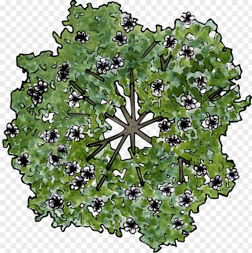 The Flowers On Trees PNG