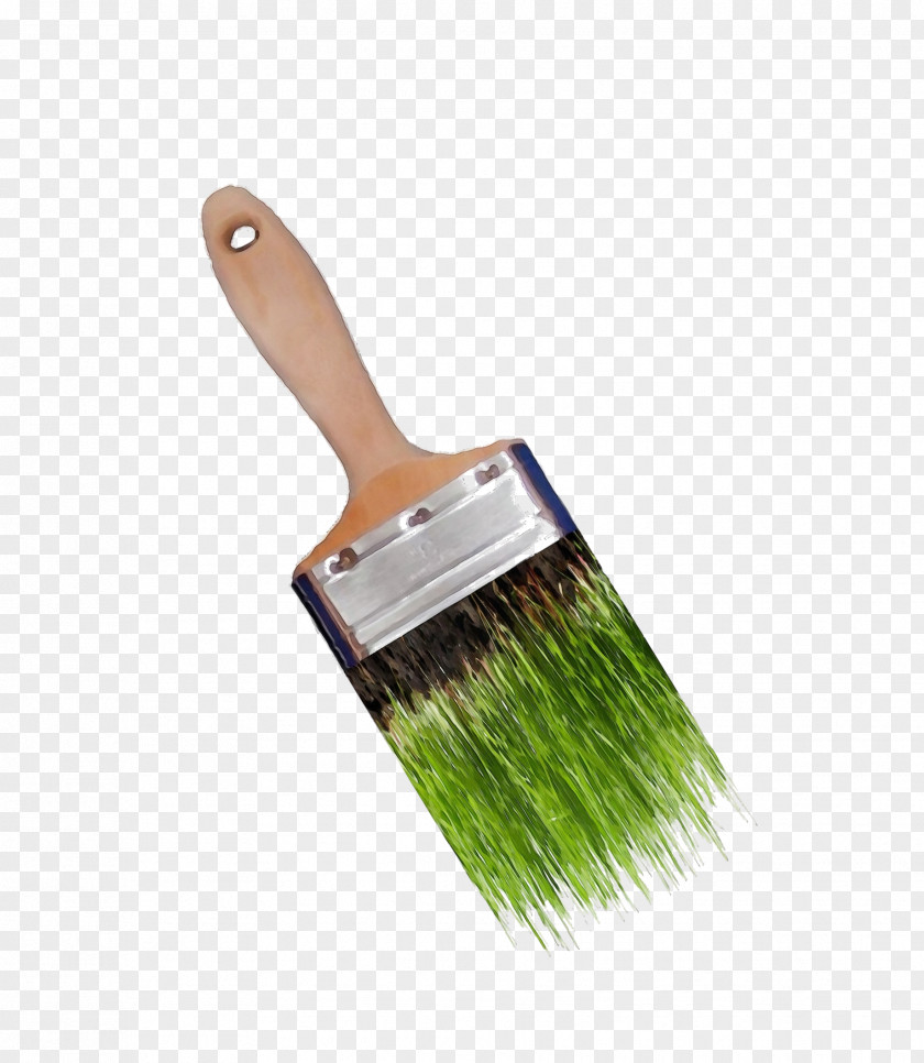 Tool Paint Brush Cartoon PNG