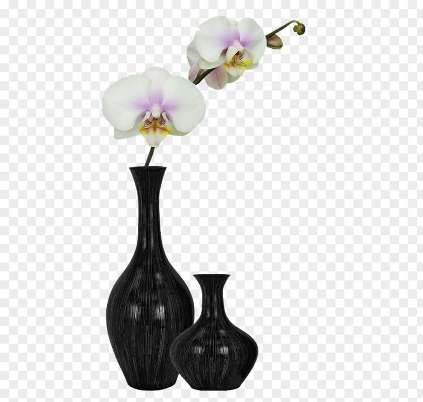 Vases Flower Vase Watercolor Painting Floral Design PNG