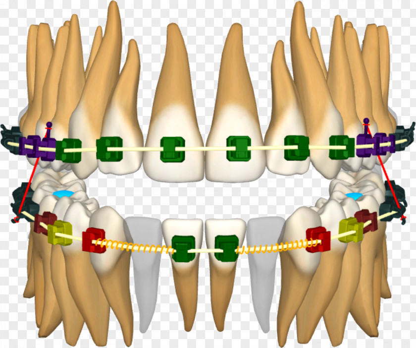 3d Teeth Nail Hand Model News Thumb Press Release PNG