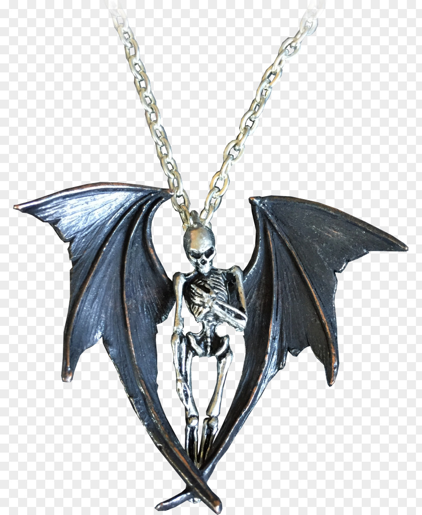 Angel Wings Pendant Locket ALCHEMY GOTHIC Charms & Pendants Necklace PNG