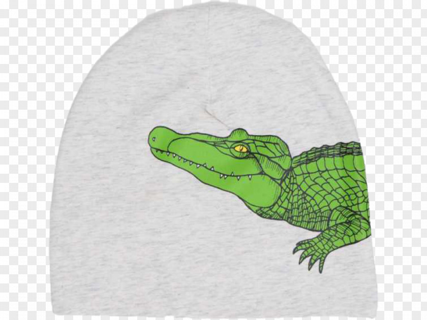 Croco Reptile PNG