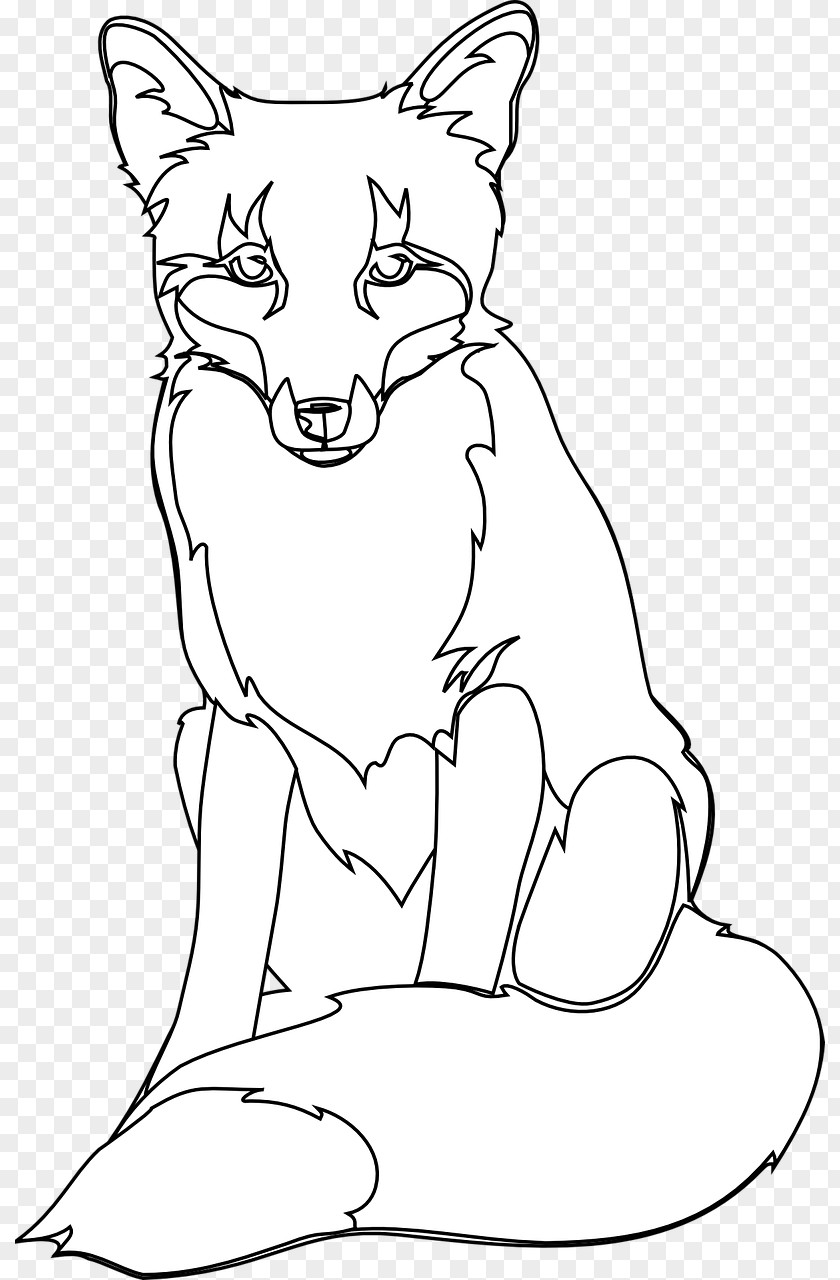 Fox Red Drawing Line Art Clip PNG