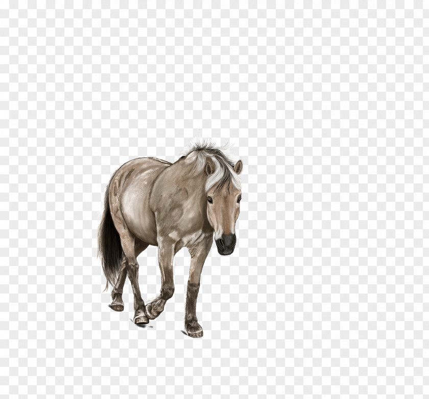 Horse Pony Digital Art Drawing Painting PNG
