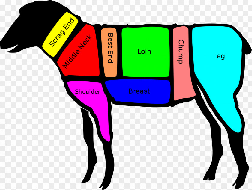 Mutton Sheep Lamb And Primal Cut Of Beef Shank PNG
