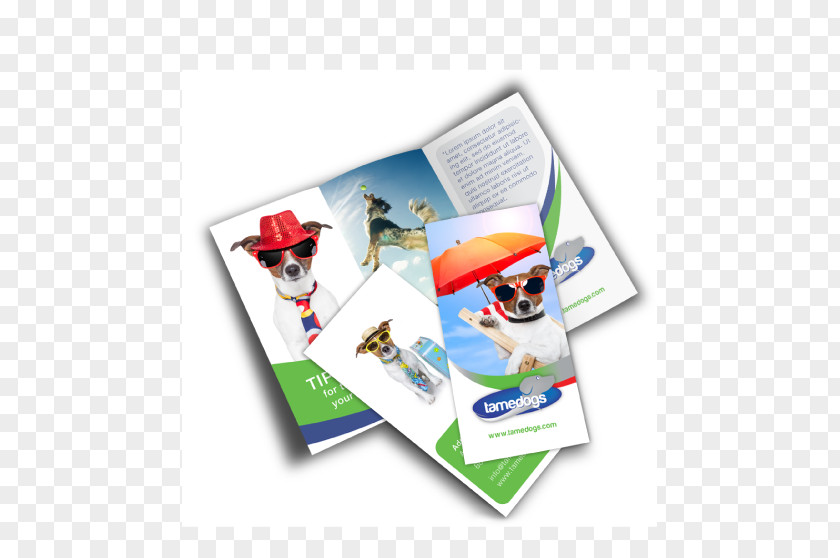 Design Advertising Brochure Printing Mockup Graphic PNG