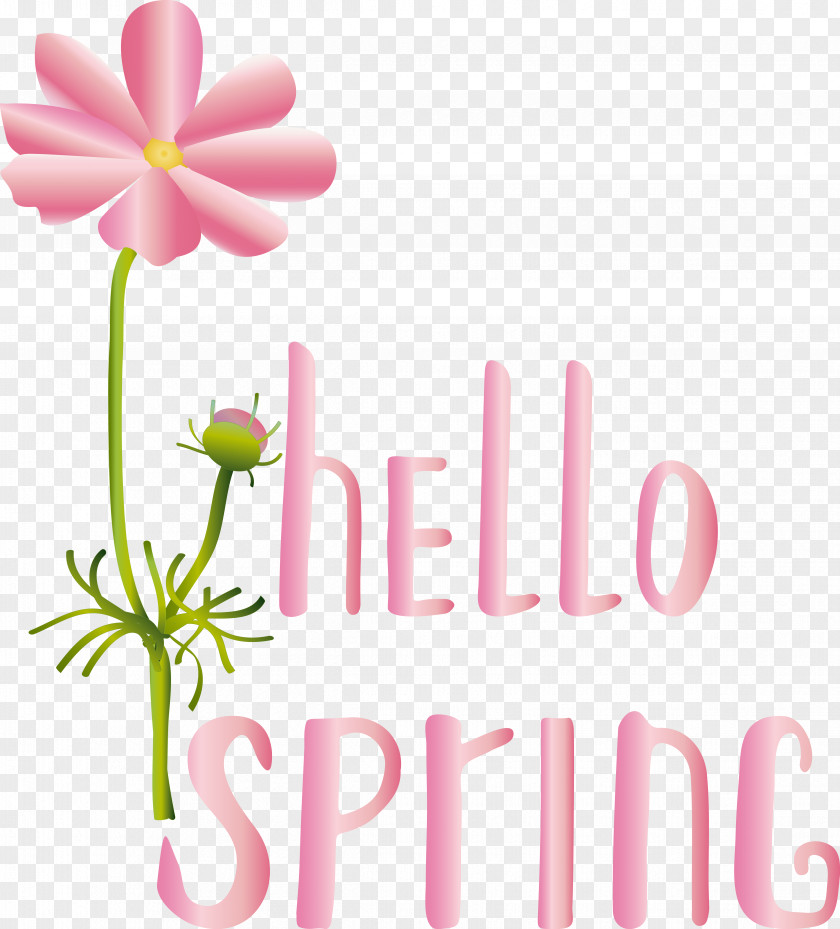 Floral Design PNG