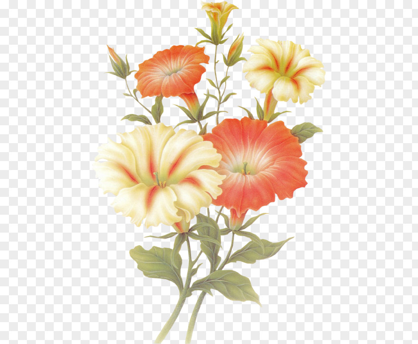 Flower Orkut Floral Design Love Spring PNG