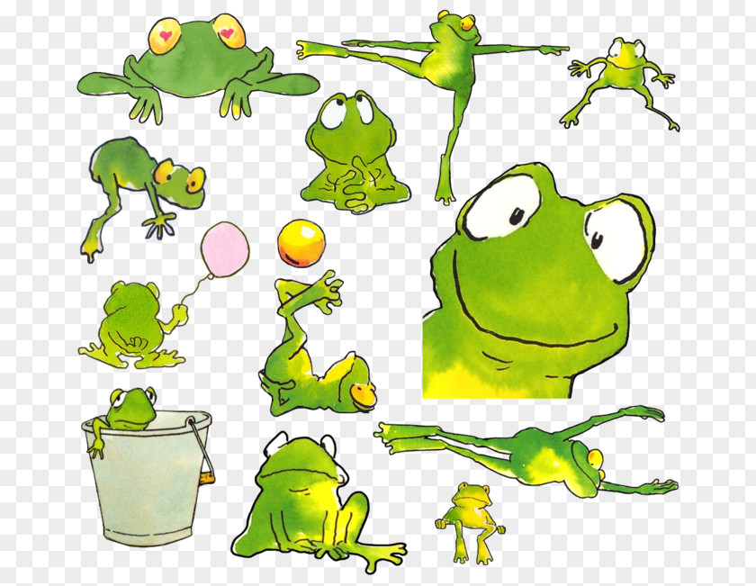 Frog Amphibians Animation Drawing PNG