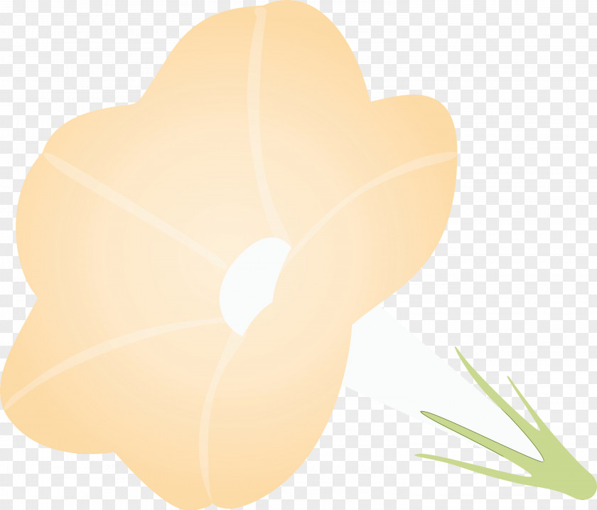 Petal Leaf Plant Flower Herbaceous PNG